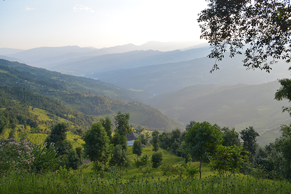 Lush valley